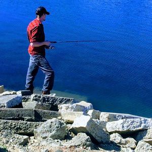 Meet your Posher, Chase